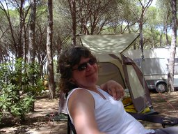 bild 247